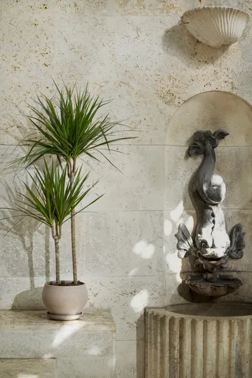 Delphi ポット 受け皿付き - Grey, Ø24 cm, low - Bergs Potter | バーグスポッター