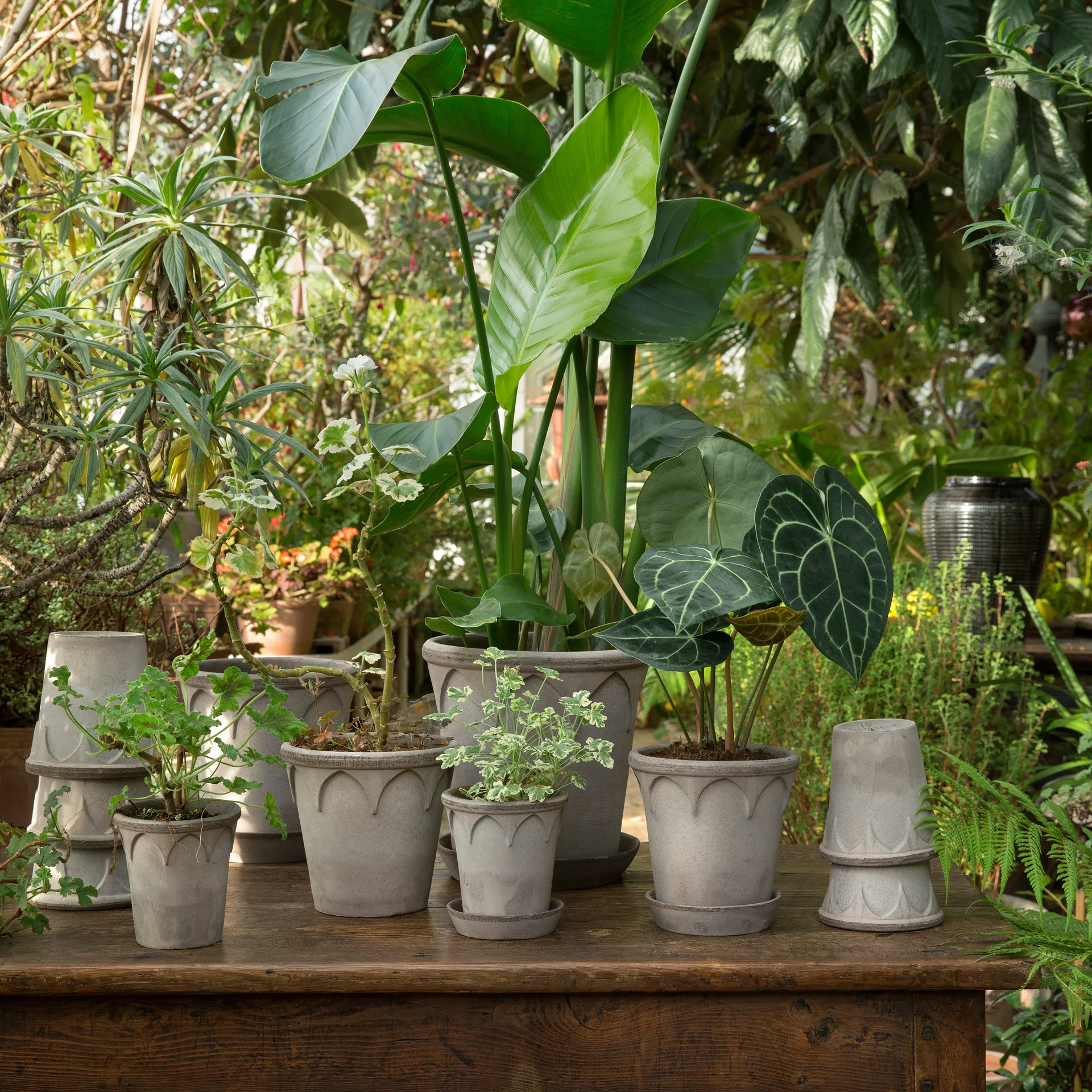 Elizabeth 鉢 Ø12 cm, grey Bergs Potter | バーグスポッター