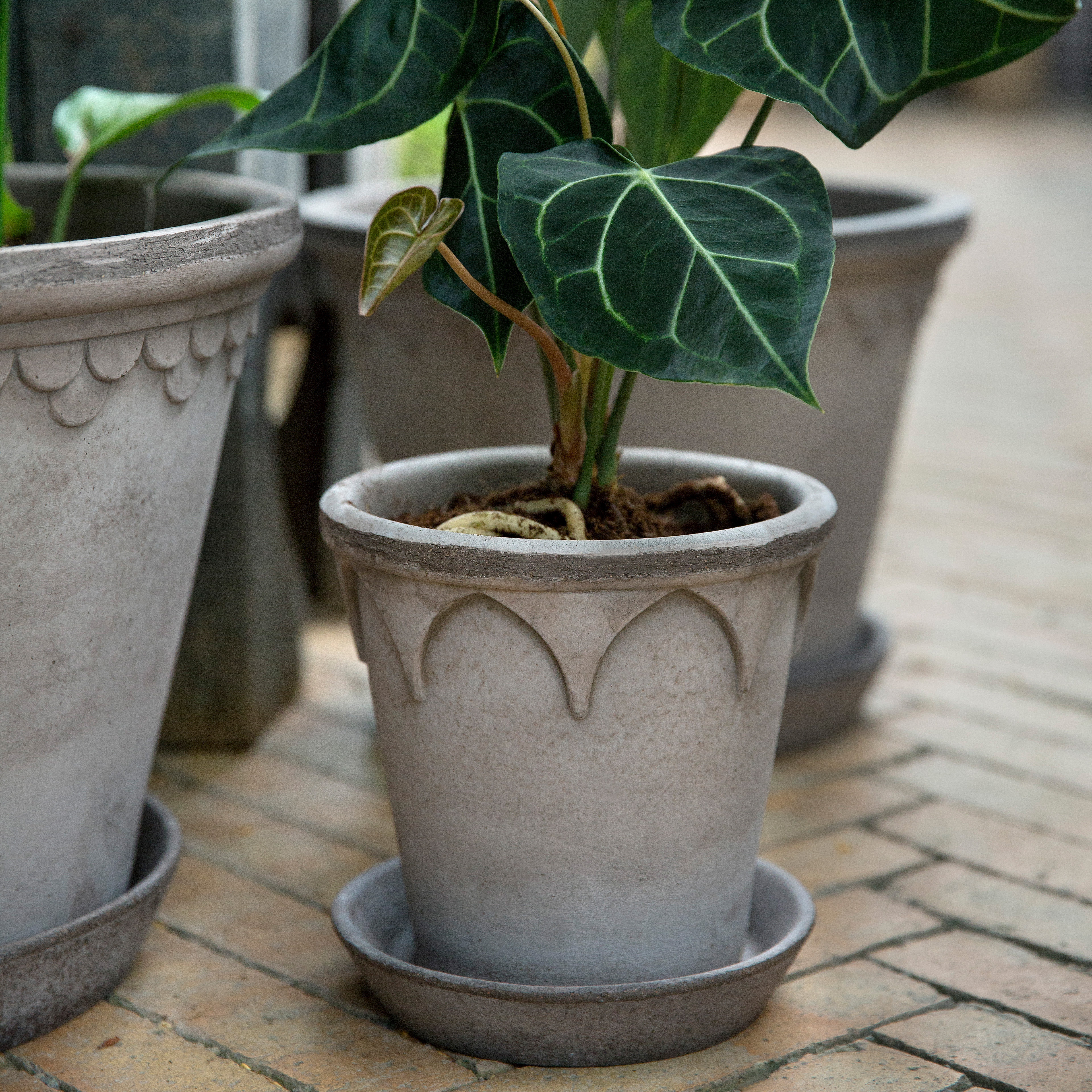 Bergs Potter  glazed 植木鉢 Bergs Potter | バーグスポッター からのHelena 植木鉢 16 cm