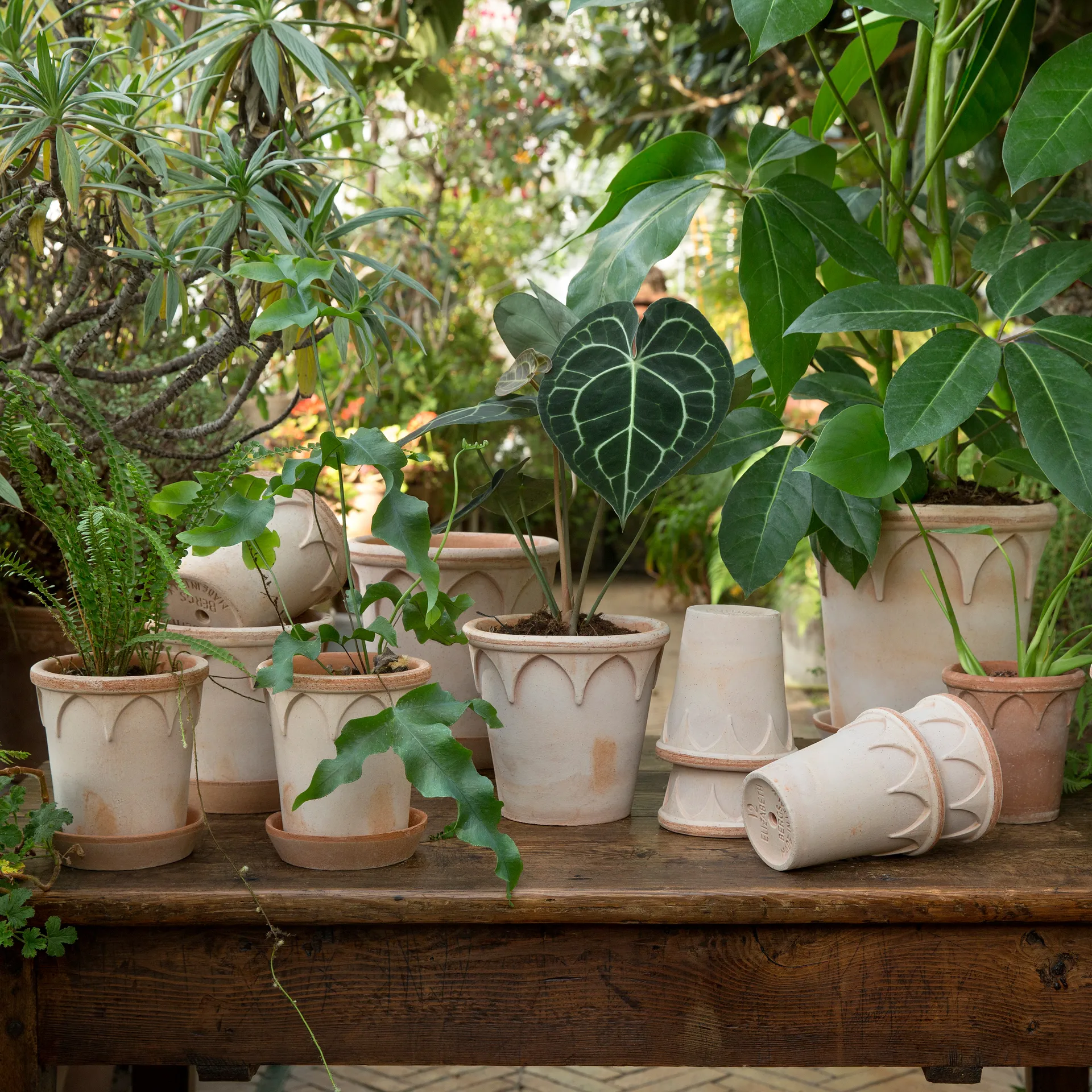 Elizabeth 鉢 Ø18 cm, rose Bergs Potter | バーグスポッター