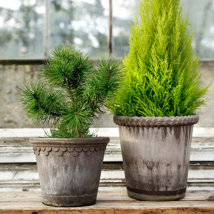 Emilia 植木鉢 16 cm, Grey Bergs Potter | バーグスポッター