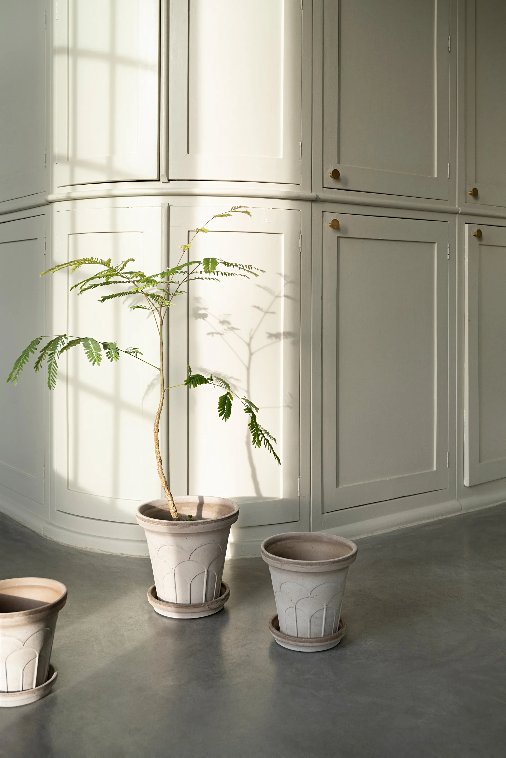 Fleur ポット 受け皿付き 2点セット, Grey, Ø16 cm Bergs Potter | バーグスポッター