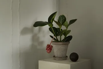 Fleur ポット 受け皿付き 2点セット - Grey, Ø18 cm - Bergs Potter | バーグスポッター