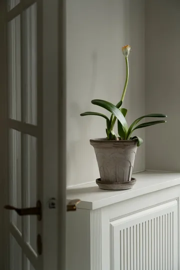 Fleur ポット 受け皿付き 2点セット - Grey, Ø18 cm - Bergs Potter | バーグスポッター