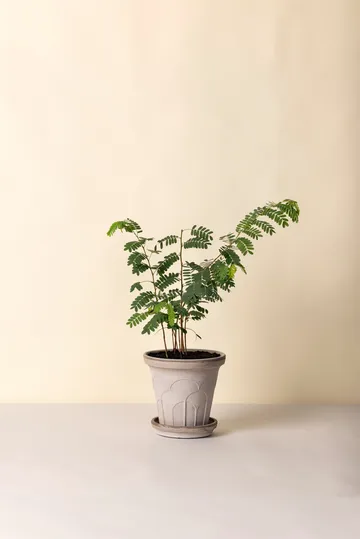 Fleur ポット 受け皿付き 2点セット - Grey, Ø21 cm - Bergs Potter | バーグスポッター