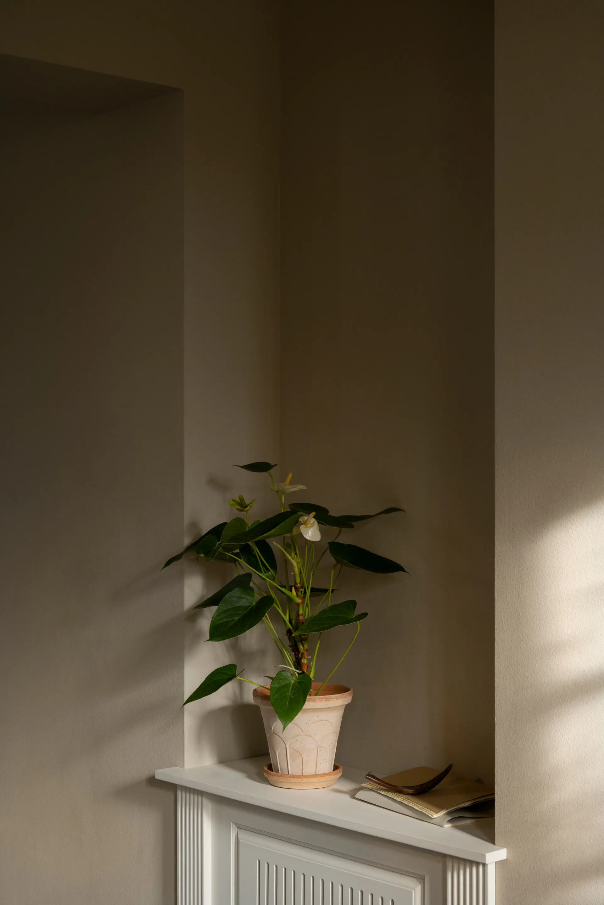 Fleur ポット 受け皿付き 2点セット, Pink, Ø16 cm Bergs Potter | バーグスポッター