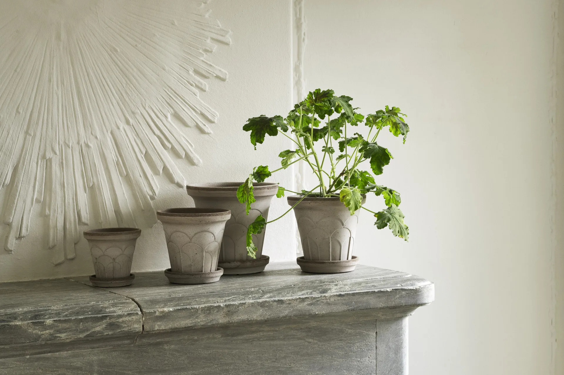 Fleur ポット 受け皿付き, Grey, Ø12 cm Bergs Potter | バーグスポッター