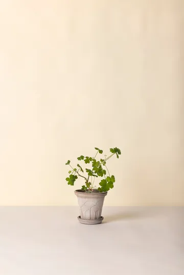 Fleur ポット 受け皿付き - Grey, Ø16 cm - Bergs Potter | バーグスポッター