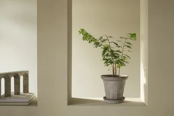 Fleur ポット 受け皿付き - Grey, Ø21 cm - Bergs Potter | バーグスポッター