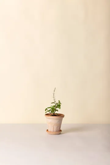 Fleur ポット 受け皿付き - Pink, Ø14 m - Bergs Potter | バーグスポッター