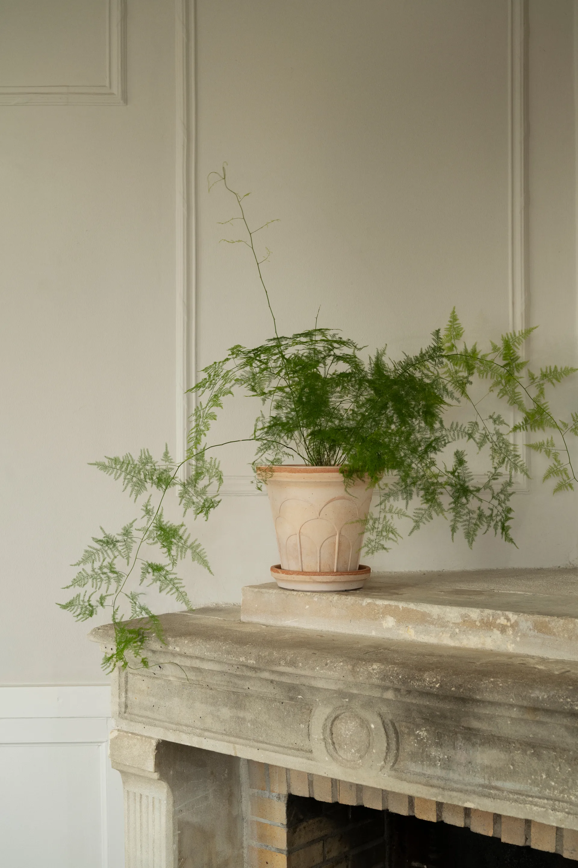 Fleur ポット 受け皿付き, Pink, Ø25 cm Bergs Potter | バーグスポッター