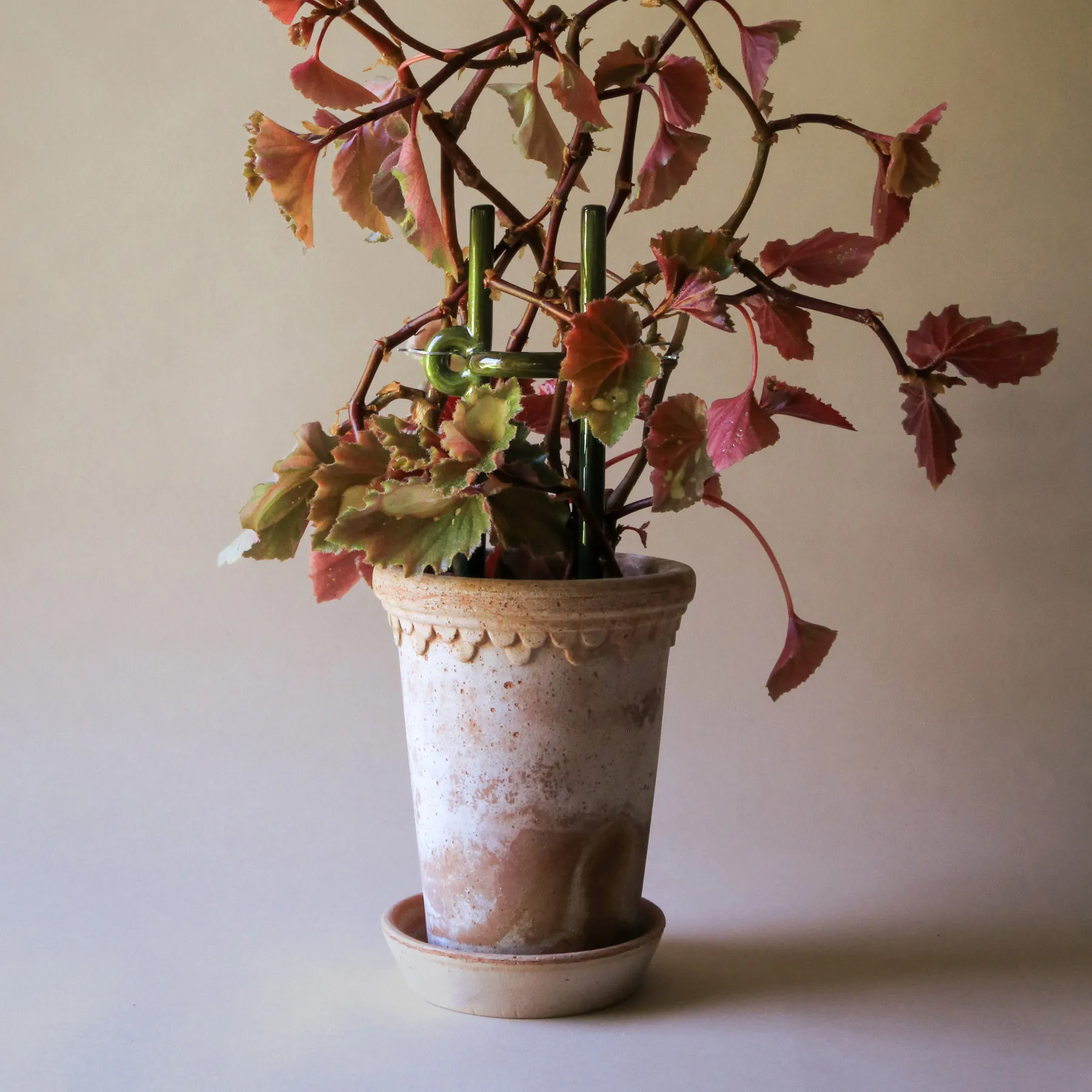 Folk Hinto 植物サポーター, Moss green Bergs Potter | バーグスポッター