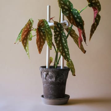 Folk Hinto 植物サポーター - Pebble White - Bergs Potter | バーグスポッター