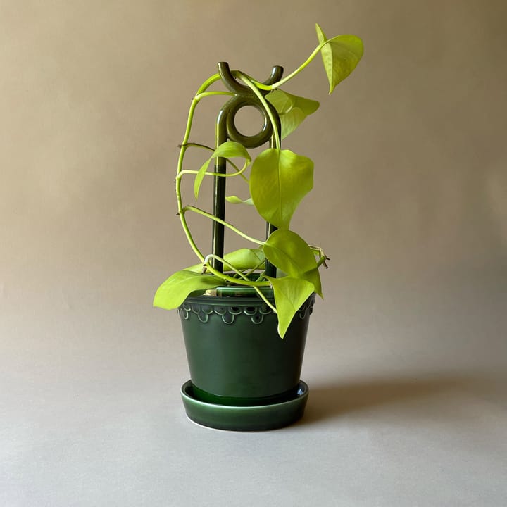 Folk Oni 植物サポーター, Moss green Bergs Potter | バーグスポッター