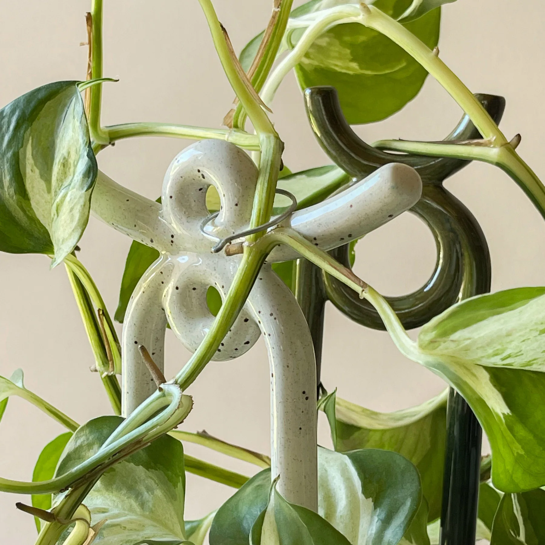 Folk Oni 植物サポーター, Moss green Bergs Potter | バーグスポッター