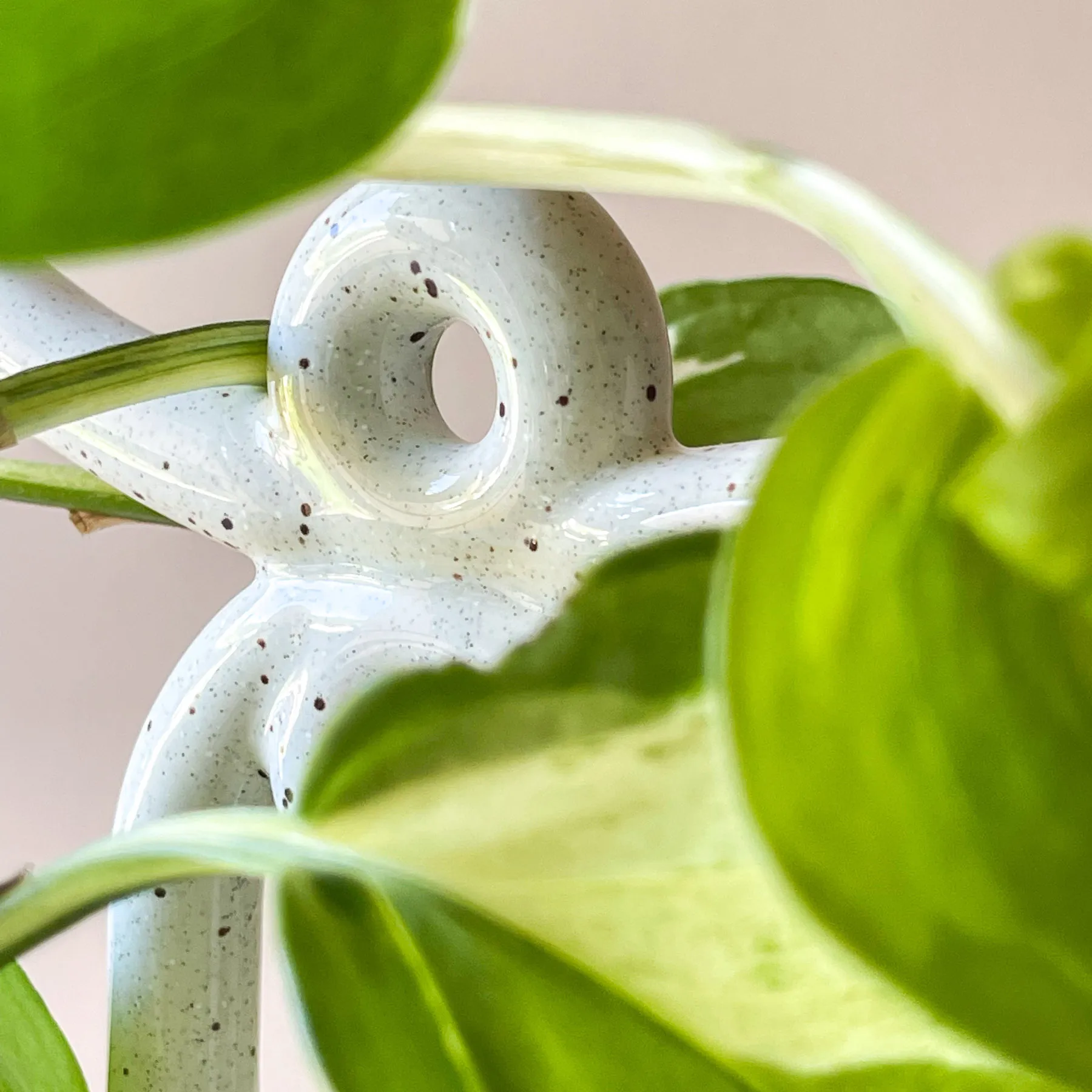Folk Yuma 植物サポーター, Pebble White Bergs Potter | バーグスポッター