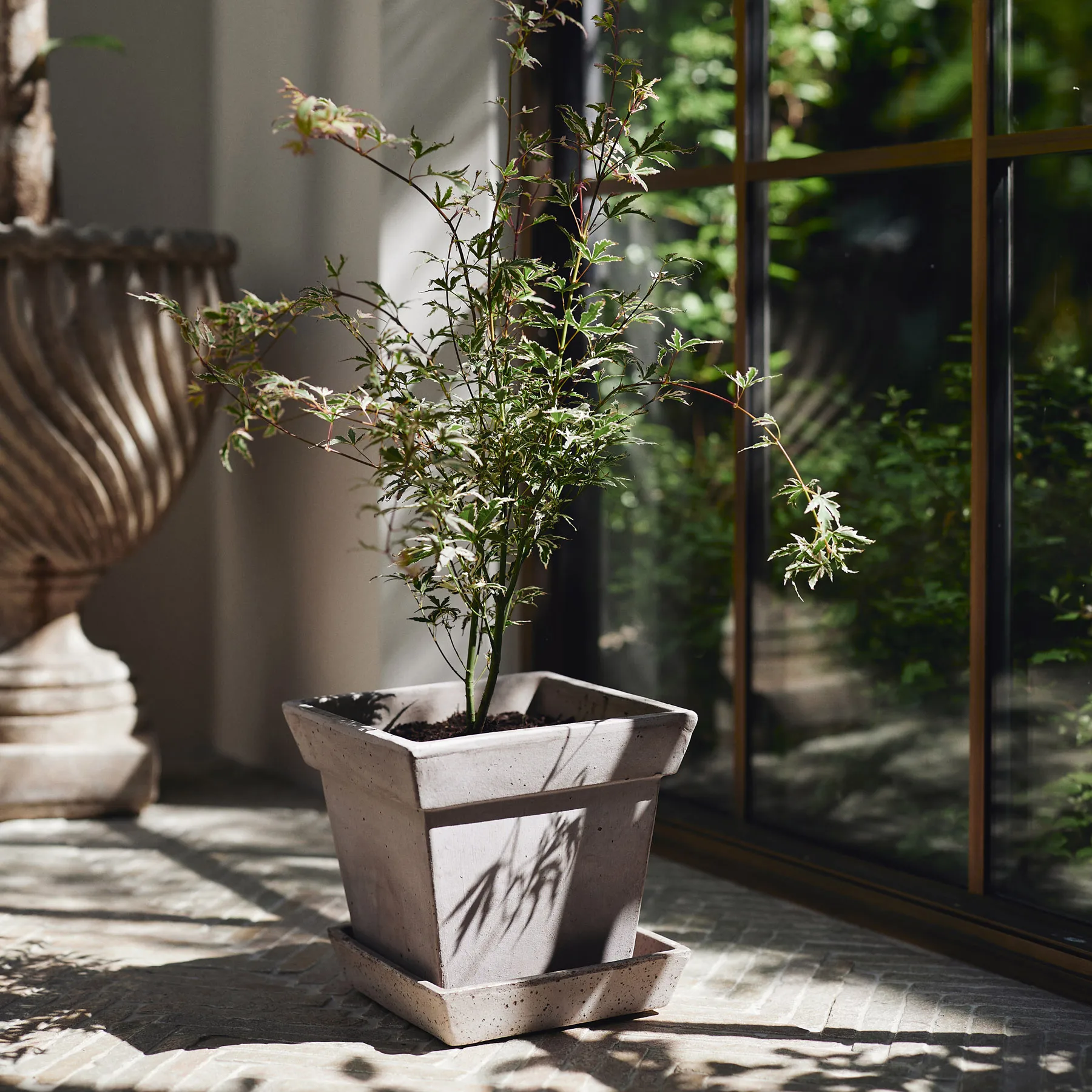 Gaia raw 鉢, Grey, Ø21 cm Bergs Potter | バーグスポッター