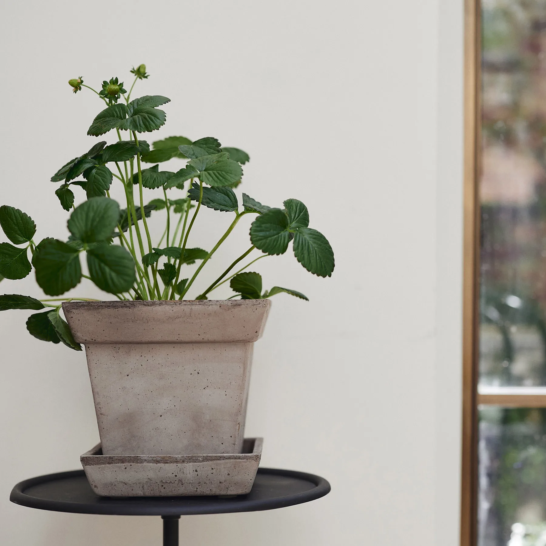 Gaia raw 鉢, Grey, Ø21 cm Bergs Potter | バーグスポッター