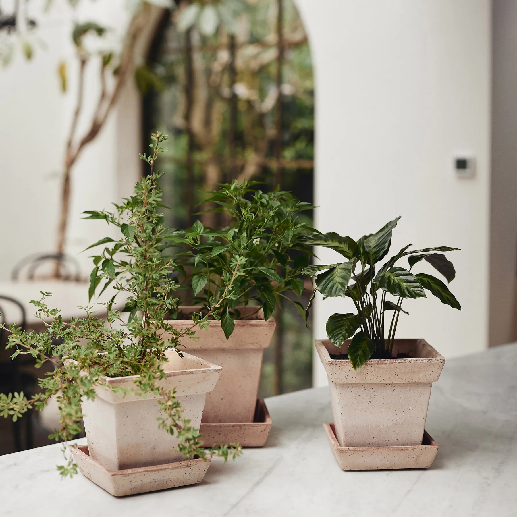 Gaia raw 鉢, Pink, Ø21 cm Bergs Potter | バーグスポッター