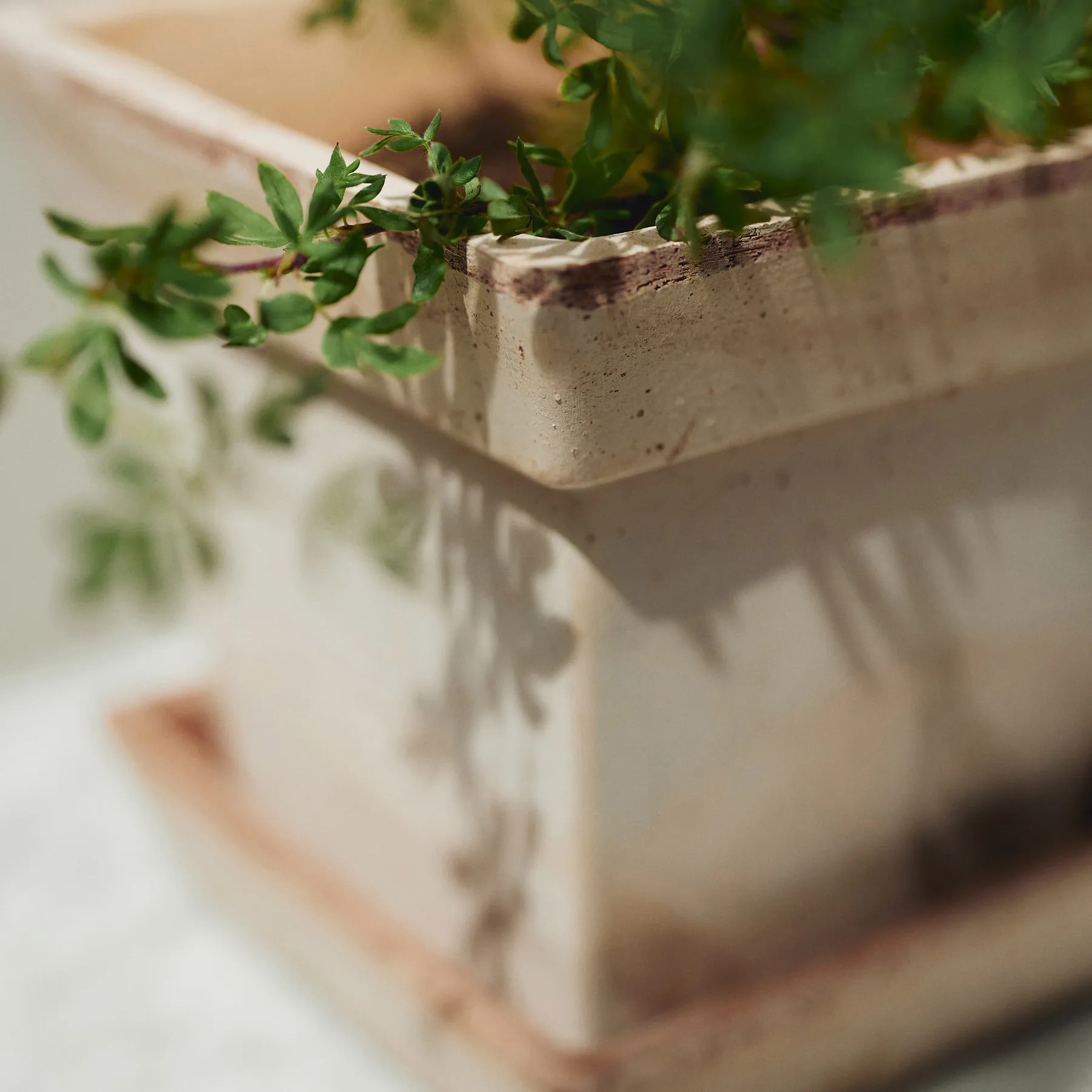 Gaia raw 鉢, Pink, Ø21 cm Bergs Potter | バーグスポッター