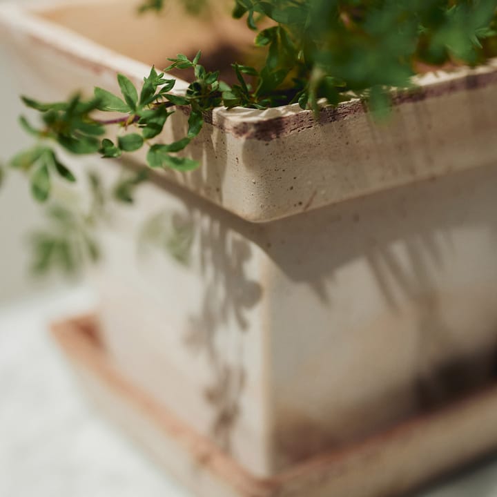 Gaia raw 鉢, Pink, Ø21 cm Bergs Potter | バーグスポッター