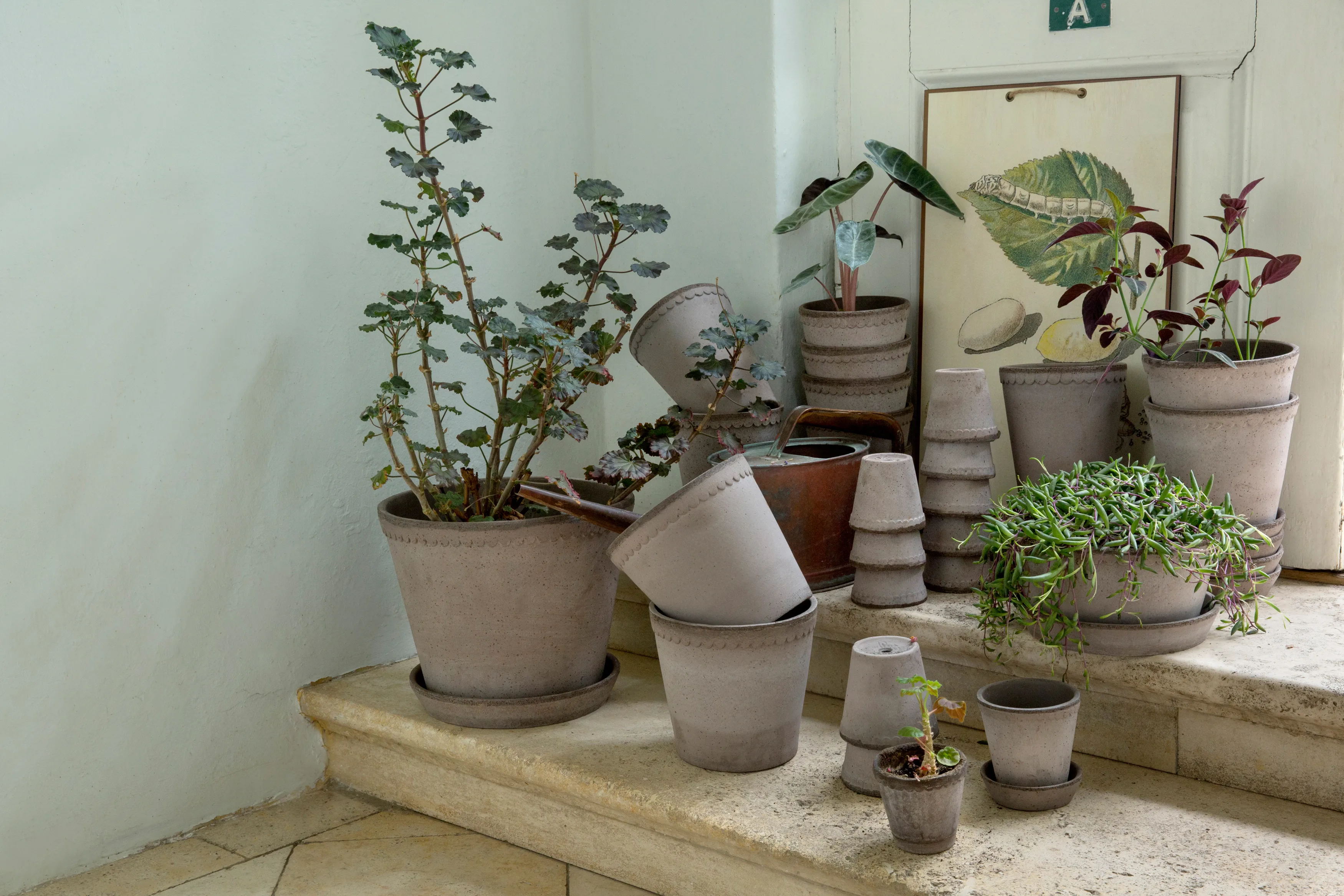 Bergs Potter | バーグスポッター からのHelena 植木鉢 Ø12 cm