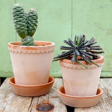 Helena 植木鉢 14 cm - pink - Bergs Potter | バーグスポッター