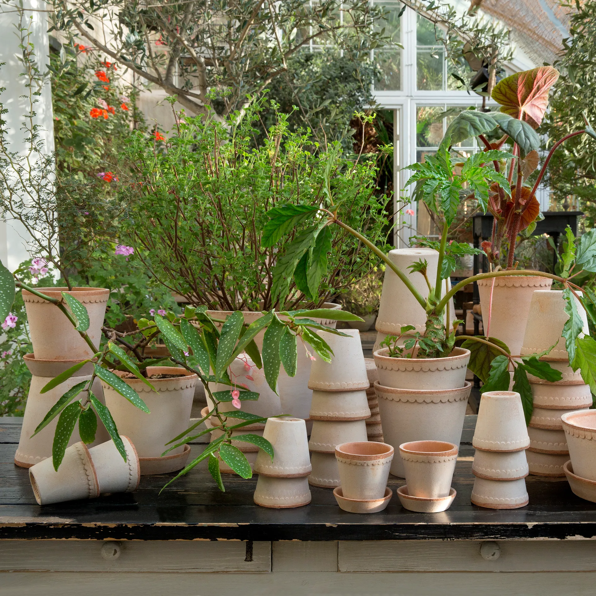 Helena 植木鉢 14 cm, pink Bergs Potter | バーグスポッター