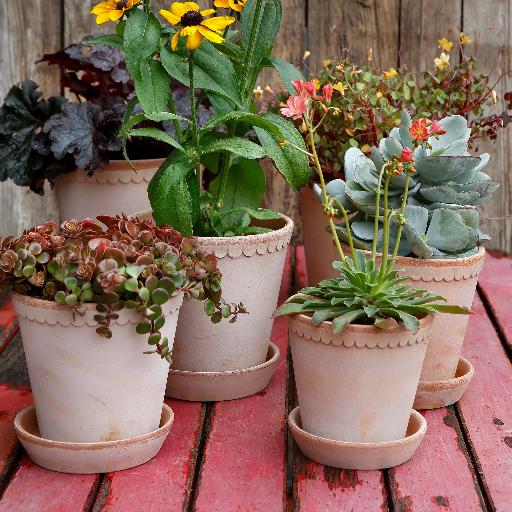 Helena 植木鉢 16 cm, pink Bergs Potter | バーグスポッター