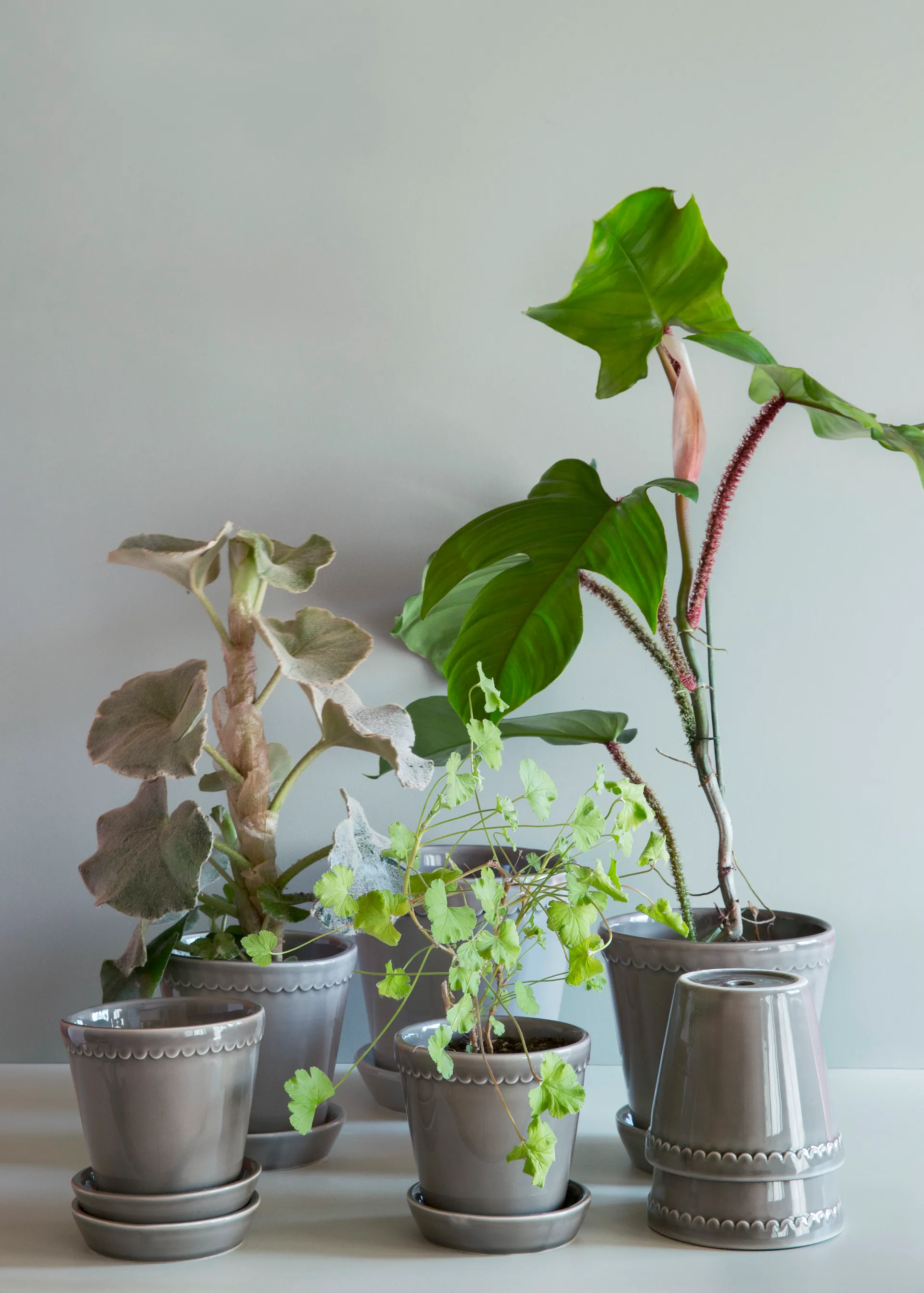 Helena 植木鉢 グレーズ 18 cm, pearl grey Bergs Potter | バーグスポッター