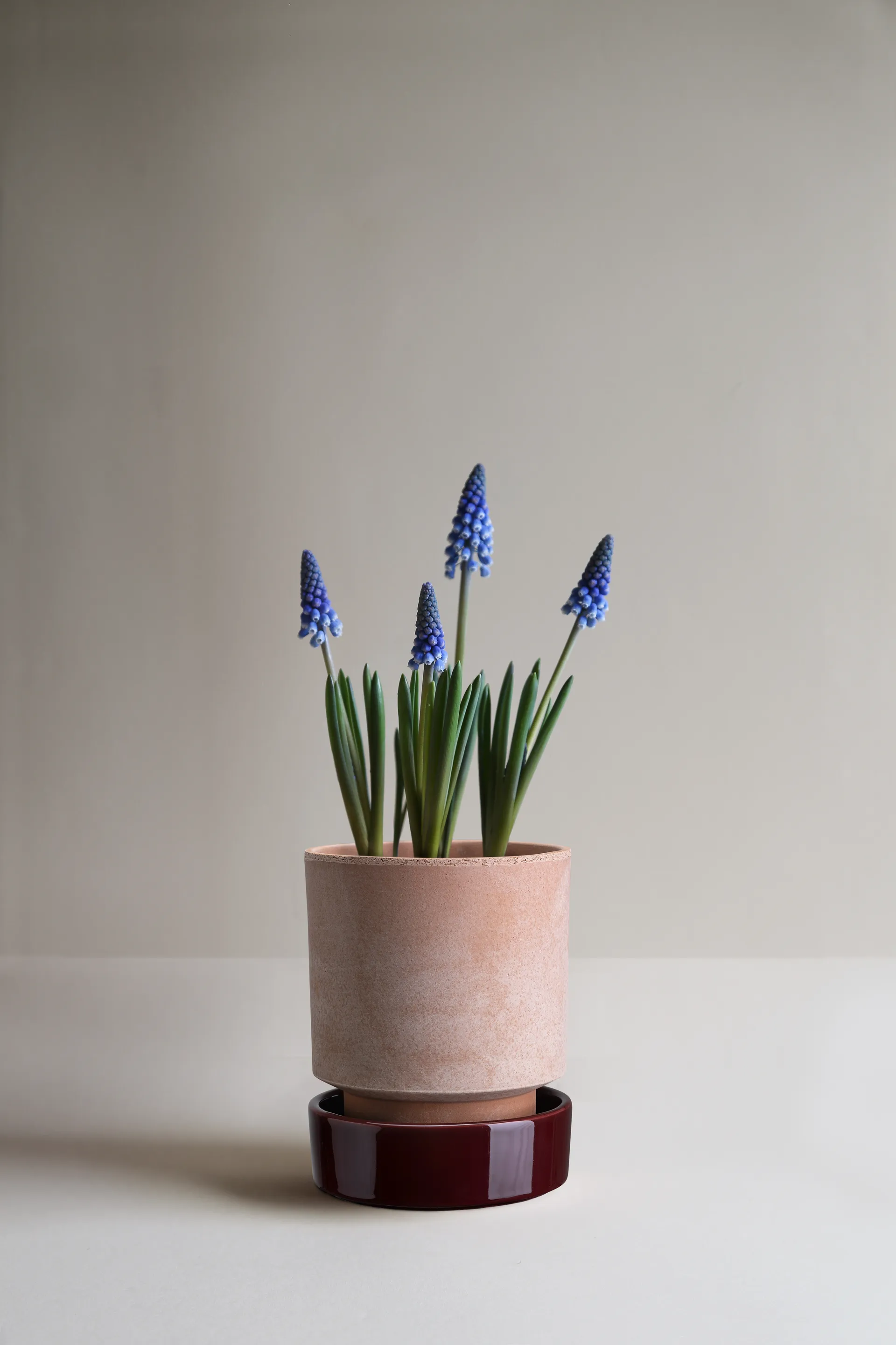 Hoff ポット, Ø14 cm, Raw Rosa-Deep Burgundy Bergs Potter | バーグスポッター