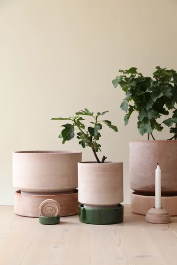 Hoff 植木鉢 - Ø16 cm, Raw Rosa-Deep Burgundy (pink-red) - Bergs Potter | バーグスポッター