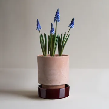 Hoff 植木鉢 - Ø16 cm, Raw Rosa-Deep Burgundy (pink-red) - Bergs Potter | バーグスポッター