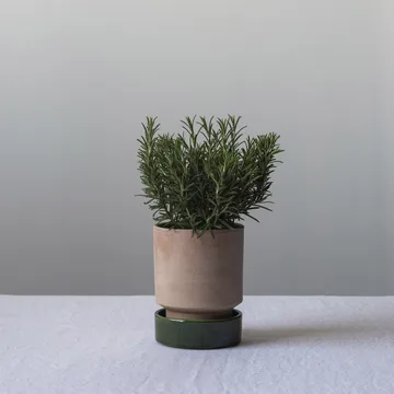 Hoff 植木鉢 - Ø16 cm, Raw Rosa-Emerald Green (pink-green) - Bergs Potter | バーグスポッター