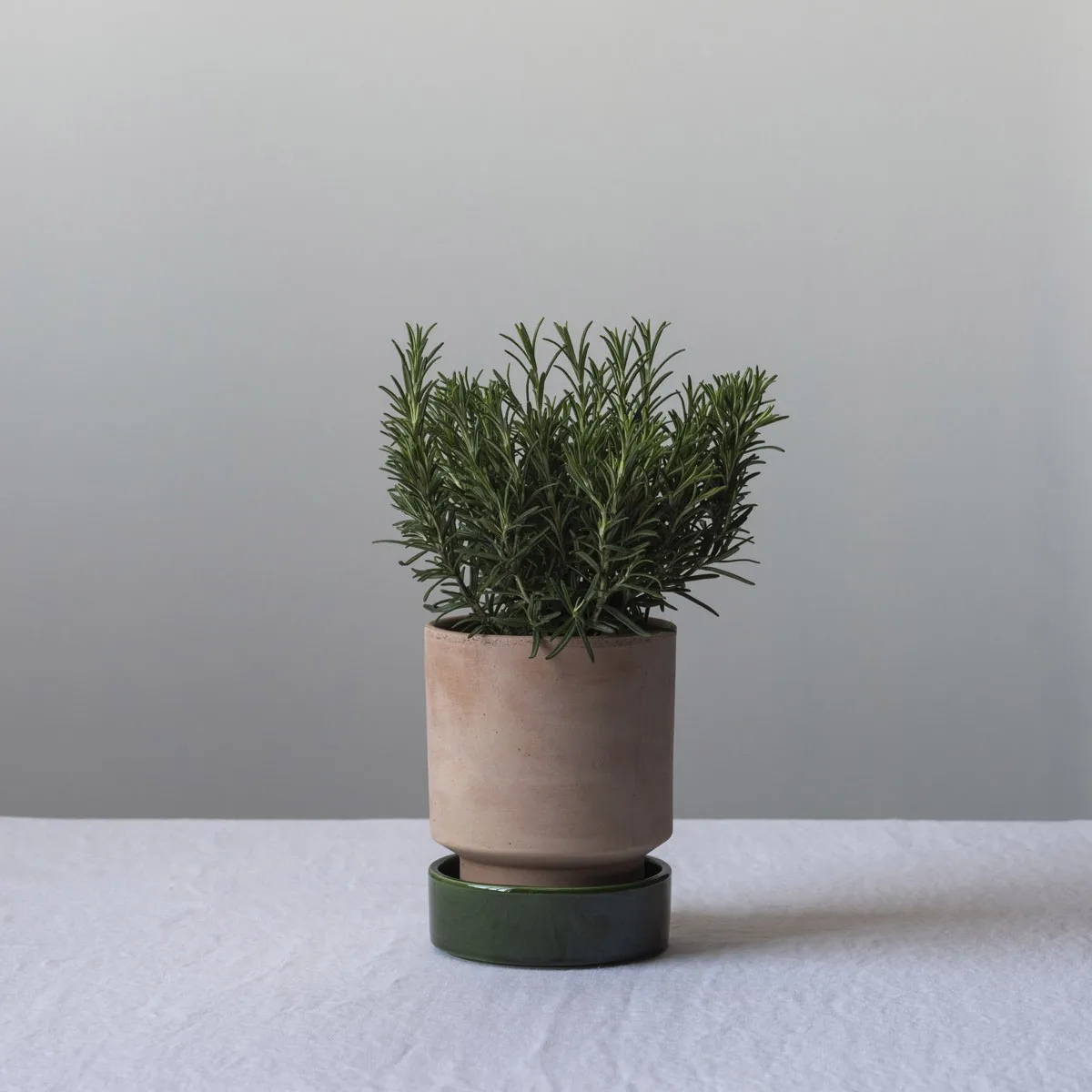 Hoff ポット, Ø16 cm, Raw Rosa-Emerald Green Bergs Potter | バーグスポッター