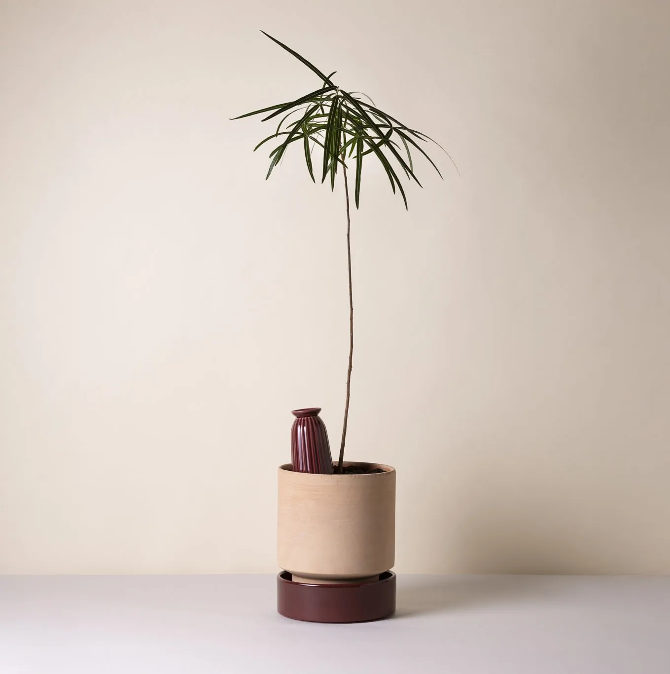 Hoff 植木鉢, Ø18 cm, Raw Rosa-Deep Burgundy (pink-red) Bergs Potter | バーグスポッター