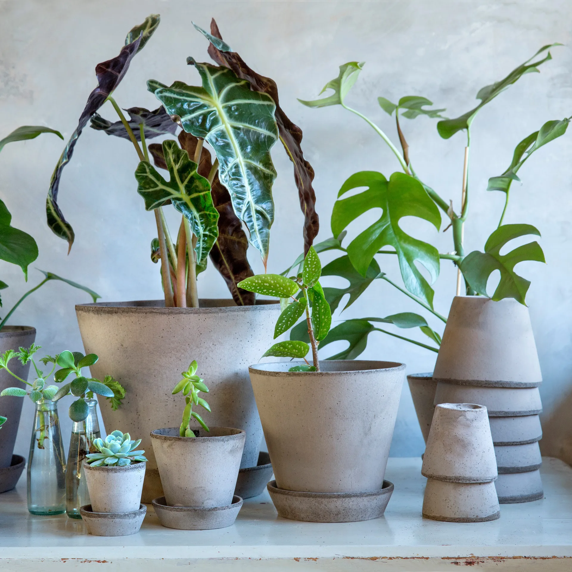 Julie 植木鉢 Ø10 cm, grey Bergs Potter | バーグスポッター