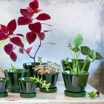 Julie 植木鉢 グレーズ 17 cm - Green emerald - Bergs Potter | バーグスポッター