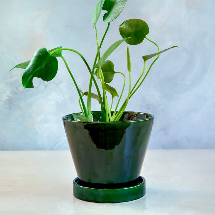 Julie 植木鉢 グレーズ 19 cm, Green emerald Bergs Potter | バーグスポッター