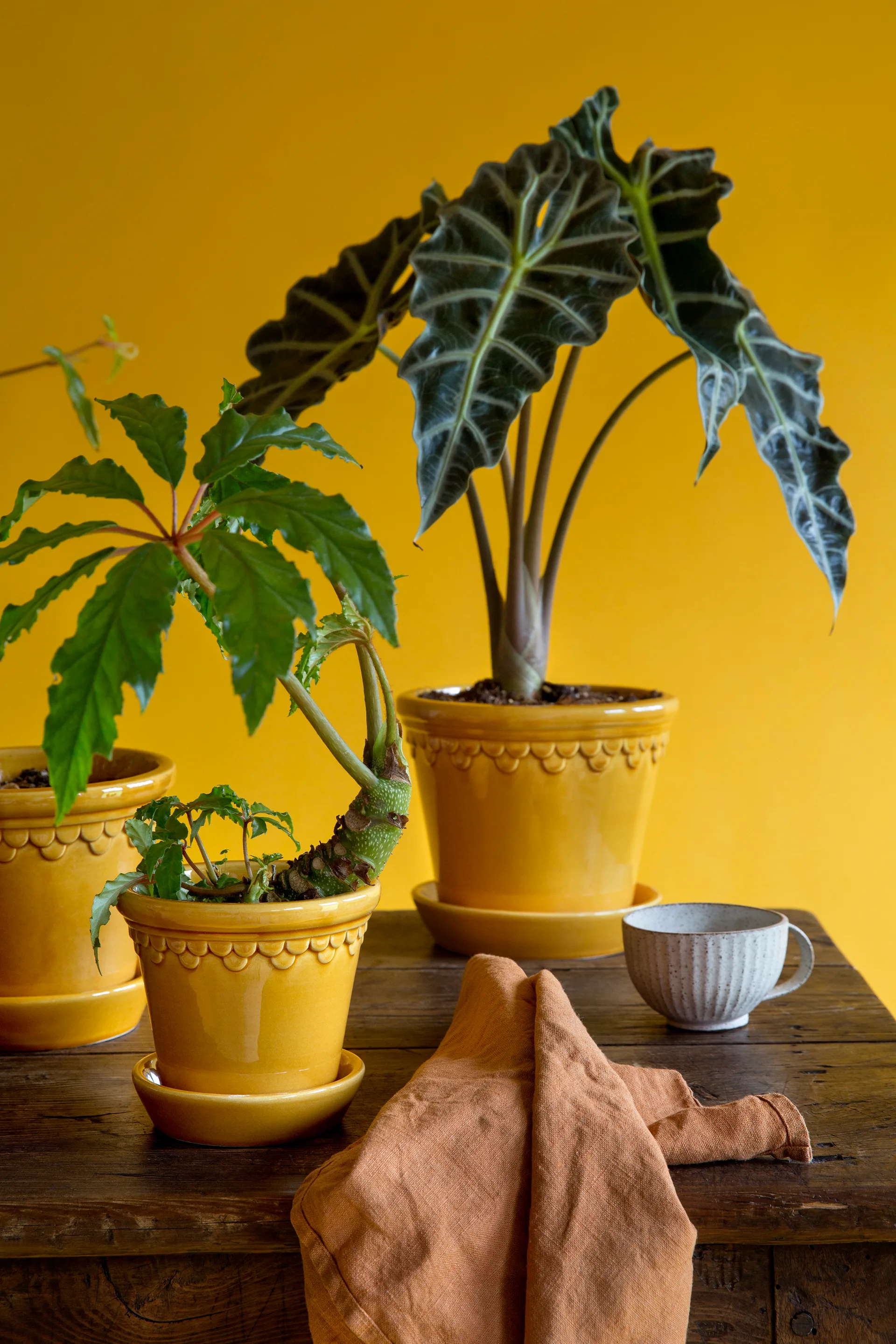 Köpenhamn 植木鉢 釉薬仕上げ, Yellow, Ø14 cm Bergs Potter | バーグスポッター