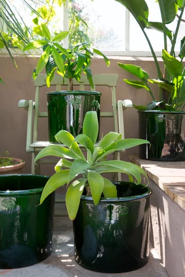 Modena 植木鉢 glazed Ø30 cm - Green - Bergs Potter | バーグスポッター