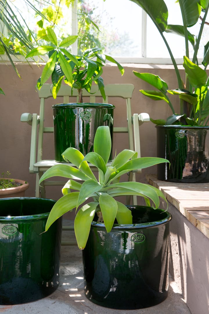 Modena 植木鉢 glazed Ø30 cm - Green - Bergs Potter | バーグスポッター