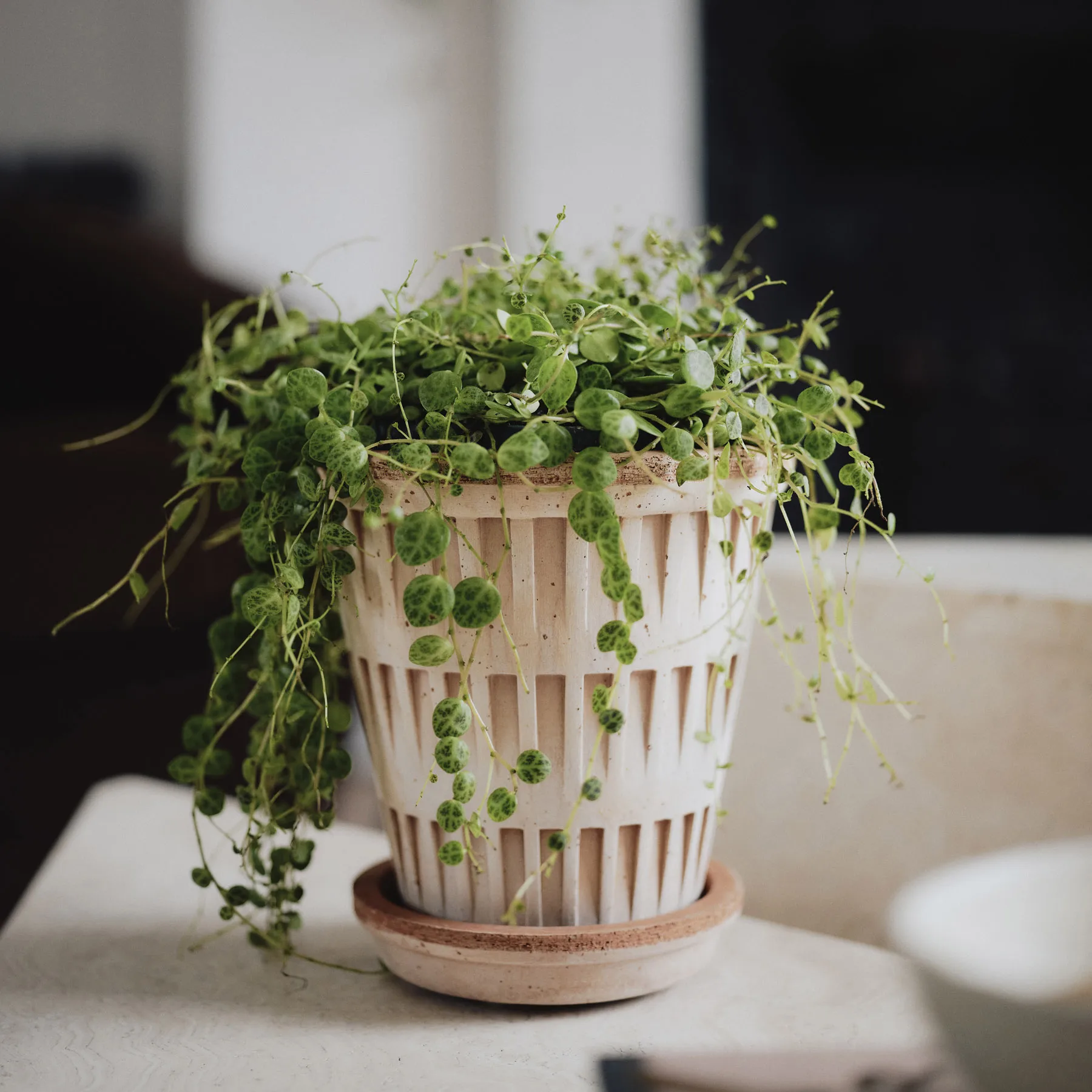 Pantheon raw 鉢, Pink, Ø14 cm Bergs Potter | バーグスポッター