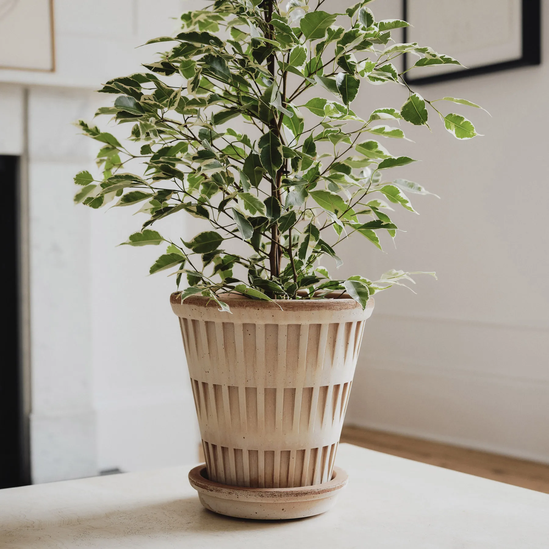 Pantheon raw 鉢, Pink, Ø21 cm Bergs Potter | バーグスポッター