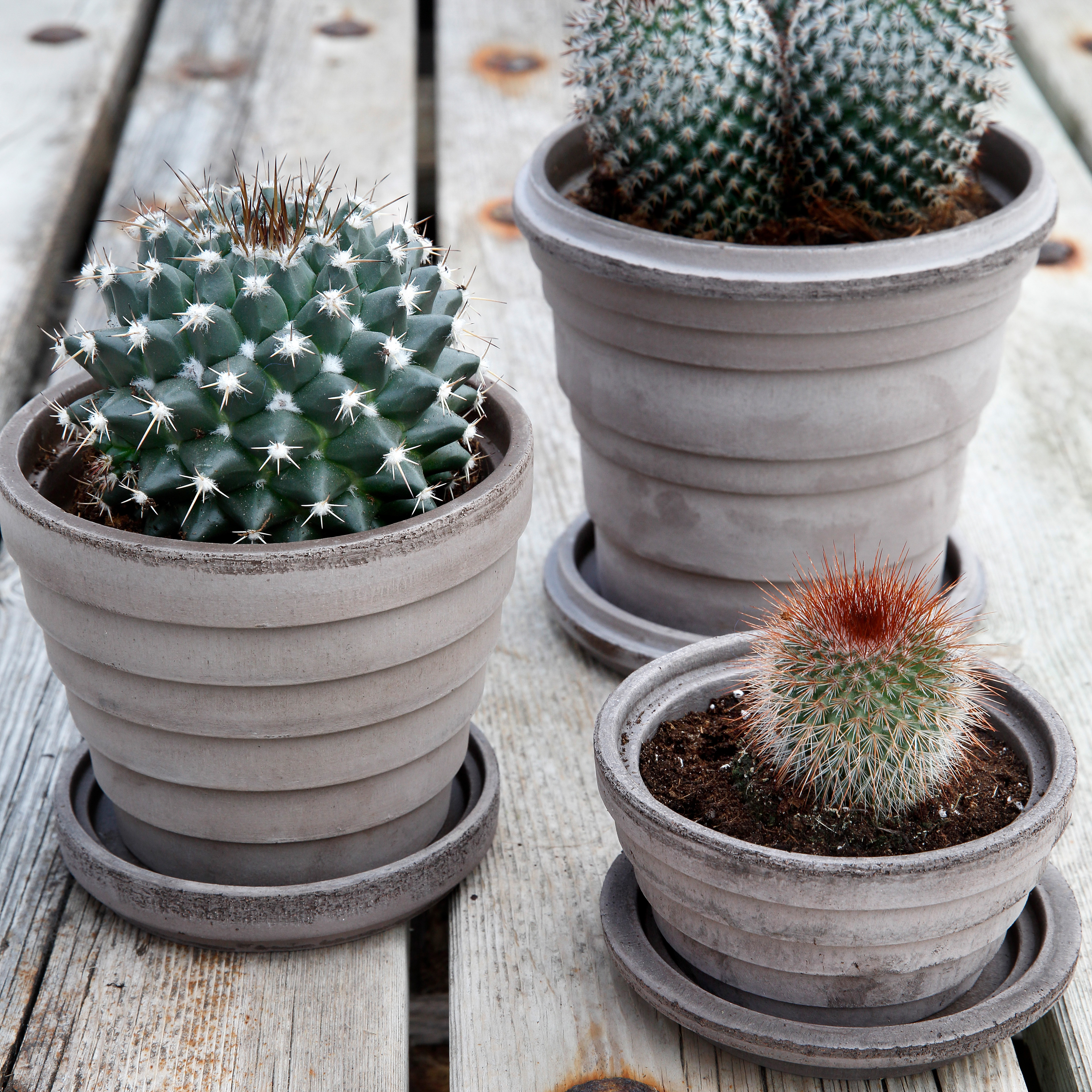 Bergs Potter  glaze 植木鉢 Bergs Potter | バーグスポッター からのHelena 植木鉢 16 cm
