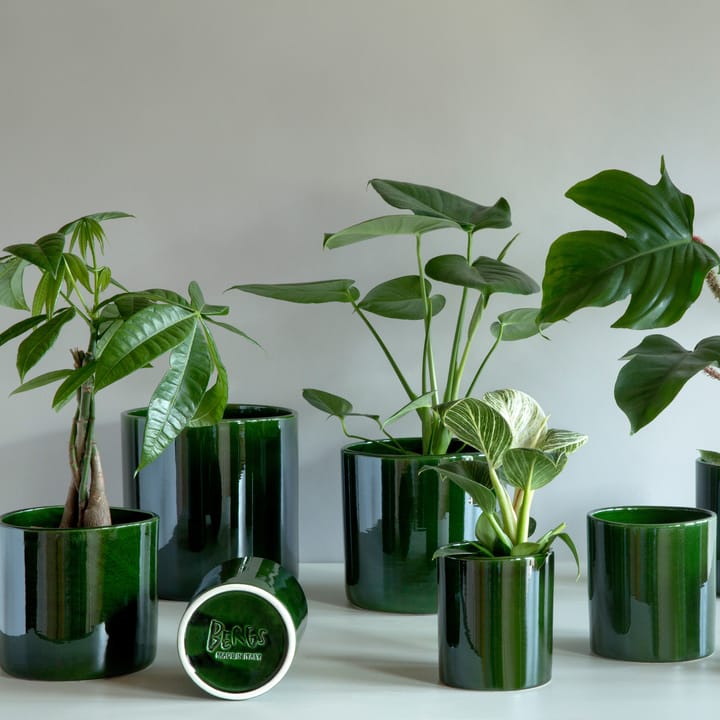 Romeo 植木鉢 グレーズ 13 cm, green Bergs Potter | バーグスポッター