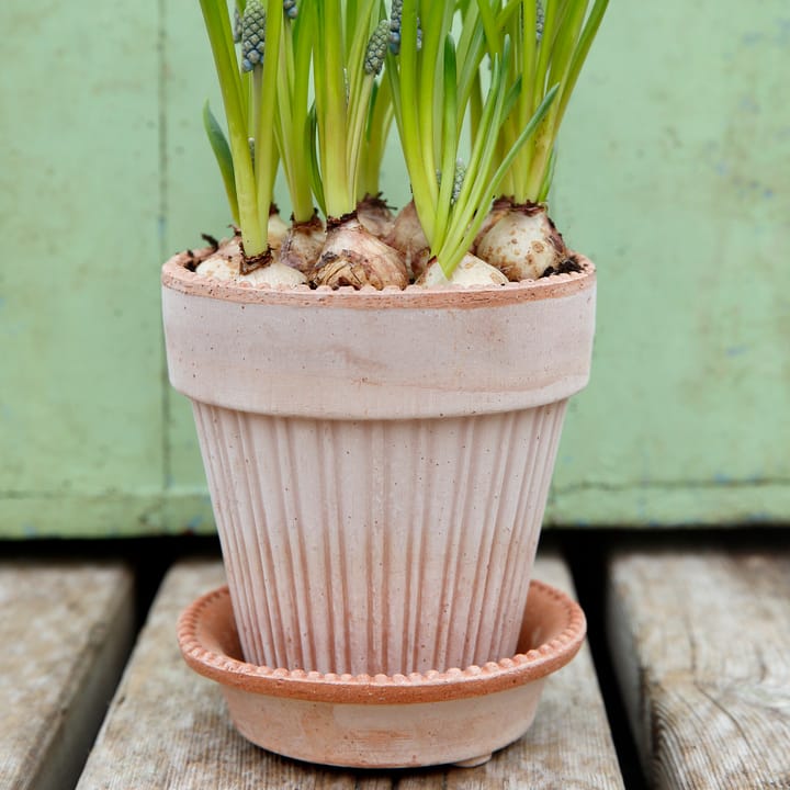 Simona 植木鉢 14 cm, Pink Bergs Potter | バーグスポッター