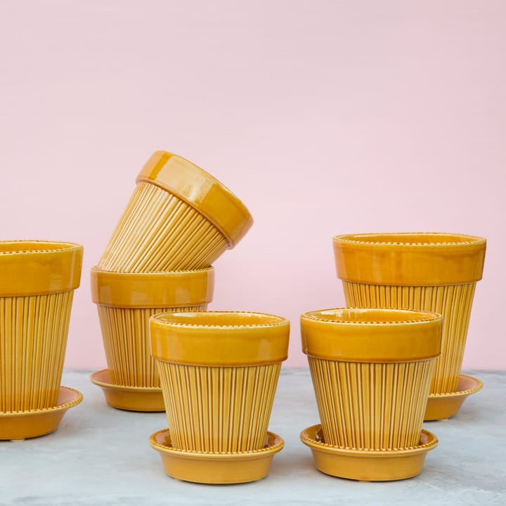 Simona 植木鉢 グレーズ 14 cm, Yellow Bergs Potter | バーグスポッター