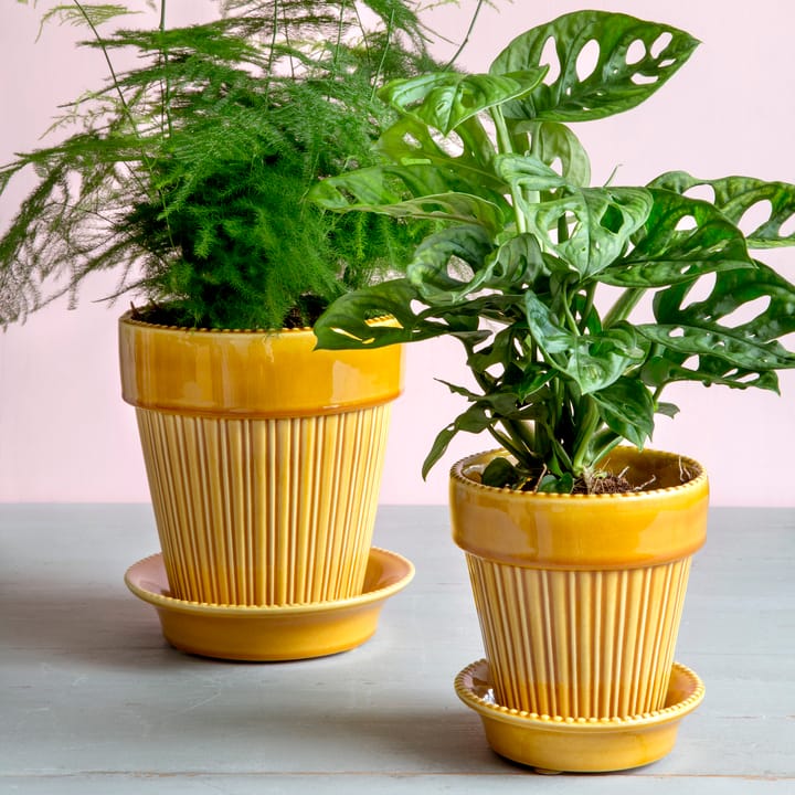 Simona 植木鉢 グレーズ 14 cm, Yellow Bergs Potter | バーグスポッター
