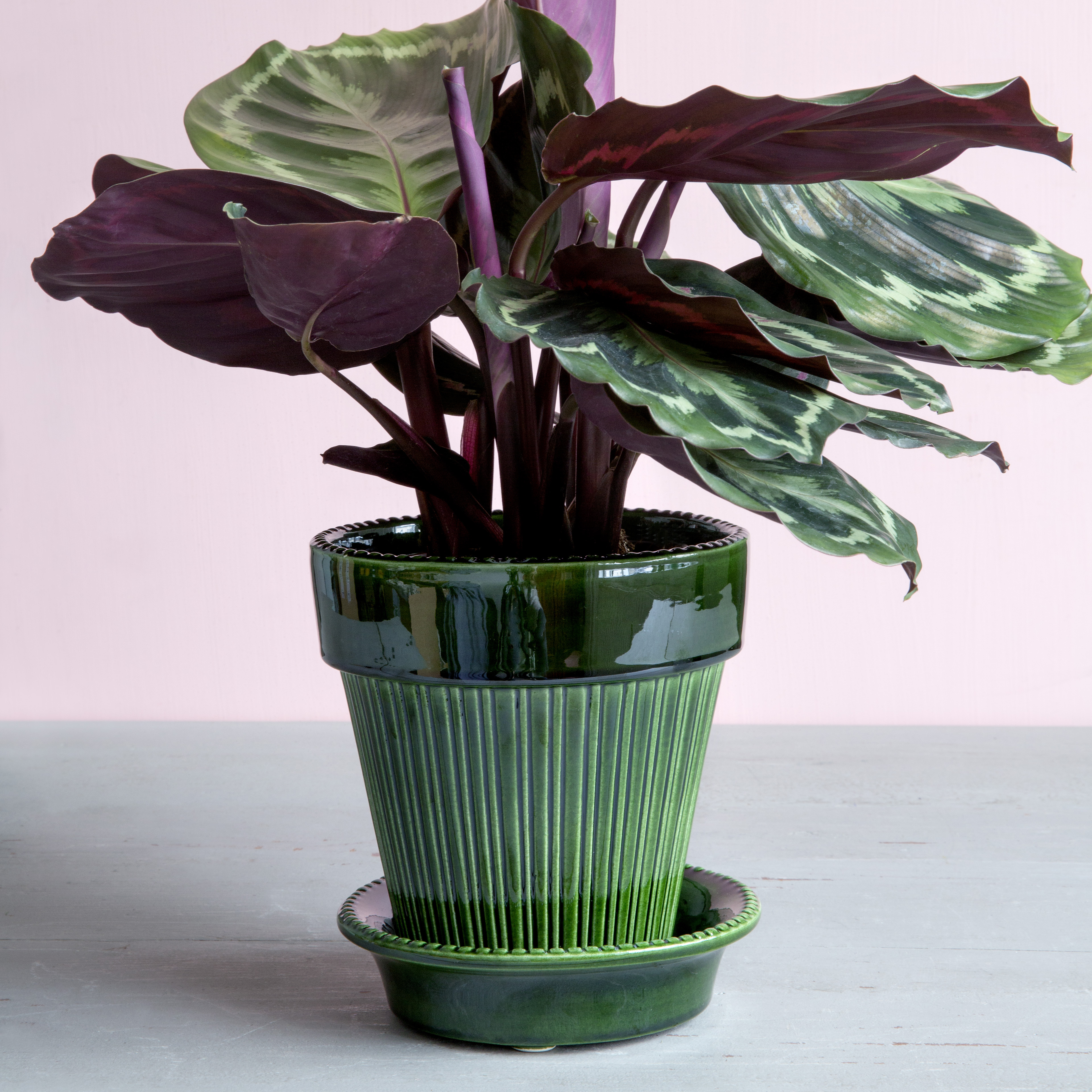BERGS Potter SIMONA 16 植木鉢 バーグスポッター Bergs Potter | バーグスポッター からのSimona 植木鉢 グレーズ